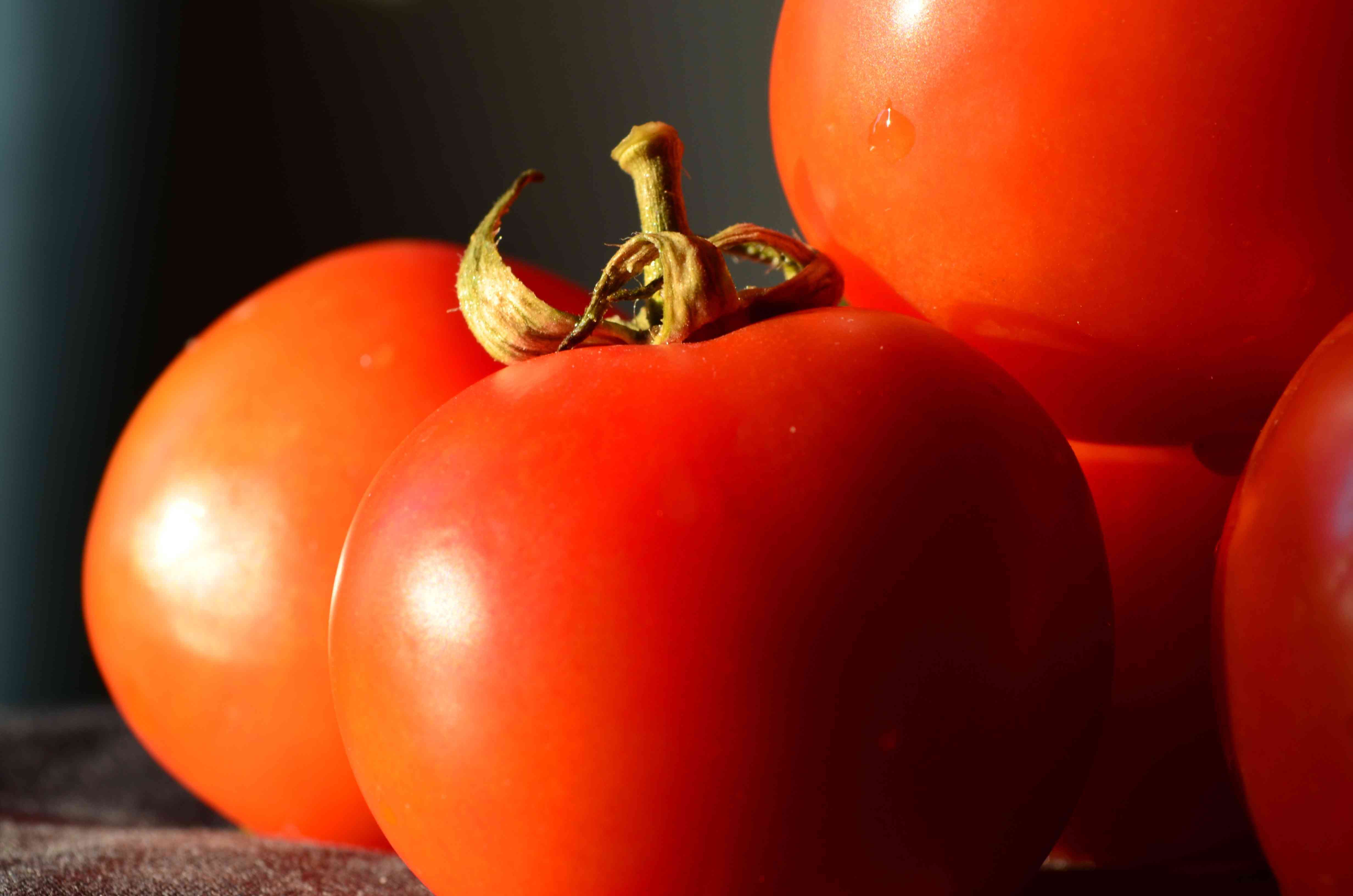 孕妇可以吃番茄