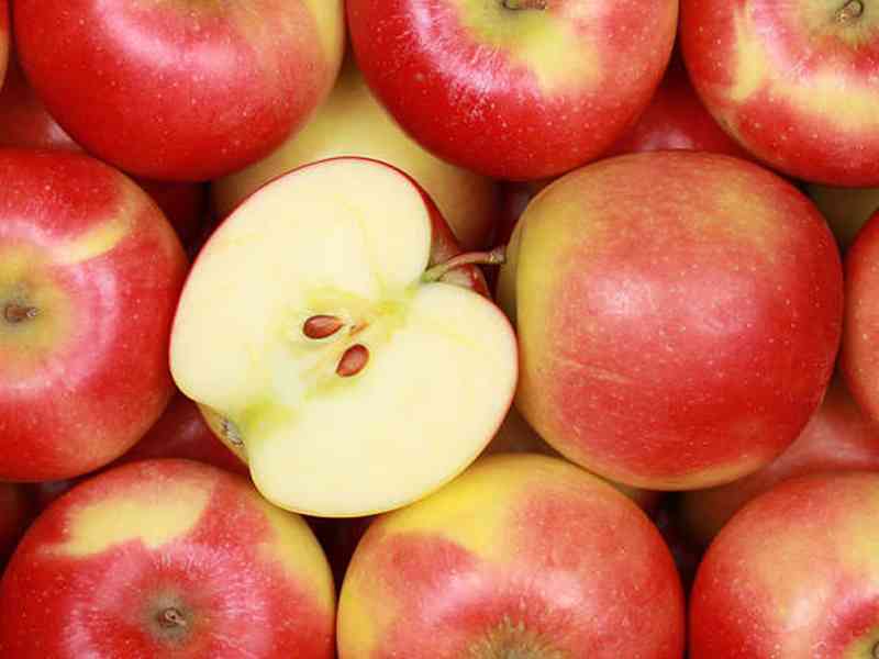 苹果中营养成分丰富