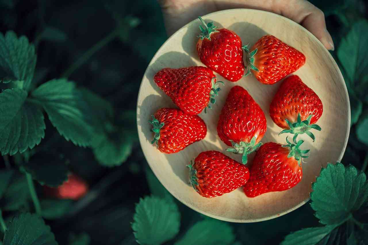 草莓的营养价值高