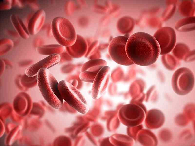 血液流失可能会造成铁蛋白低