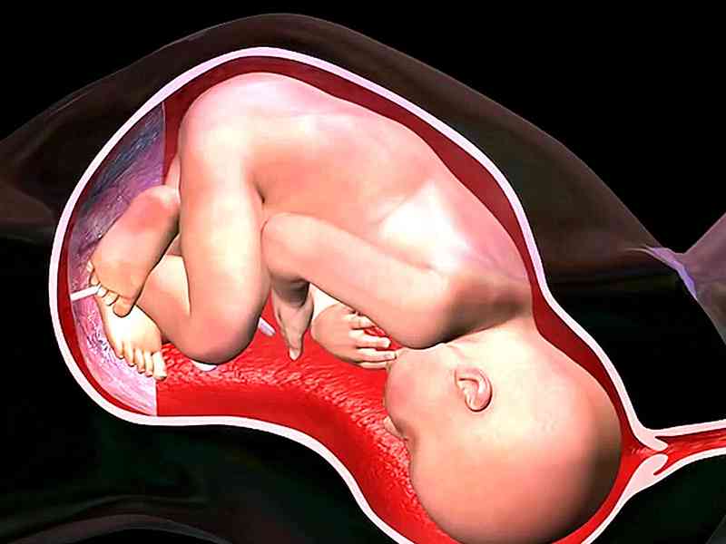 通过孕囊大小计算怀孕时间必须要月经周期正常