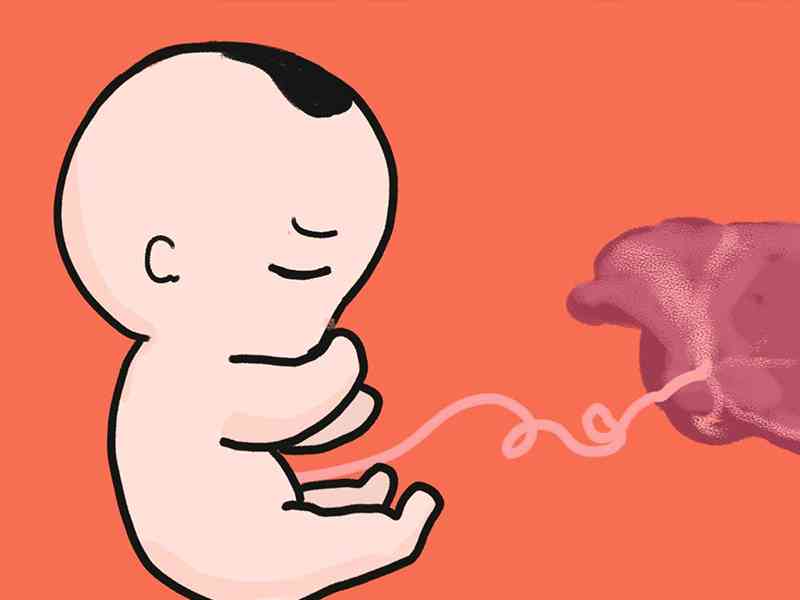 铁蛋白偏低会导致胎儿流产