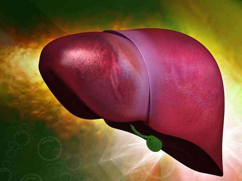 甲胎蛋白检查主要判断肝脏情况