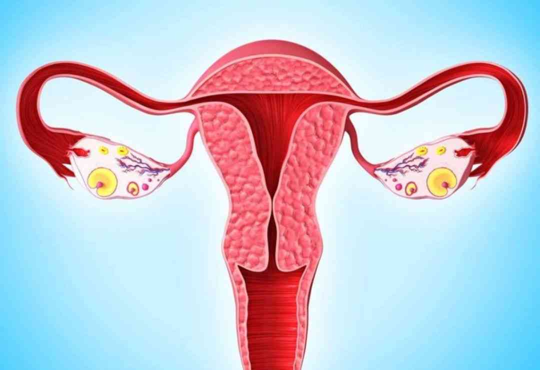 输卵管道异常可能导致排卵期不孕