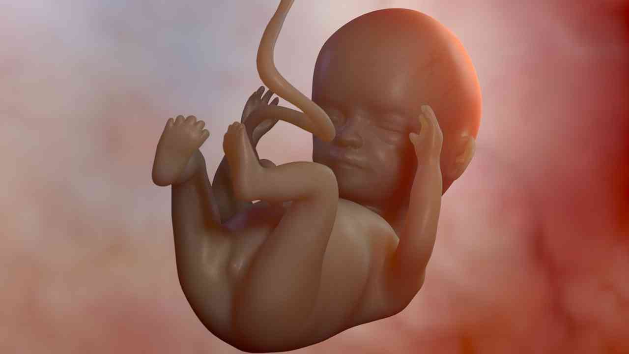 吃精子对胎儿的影响