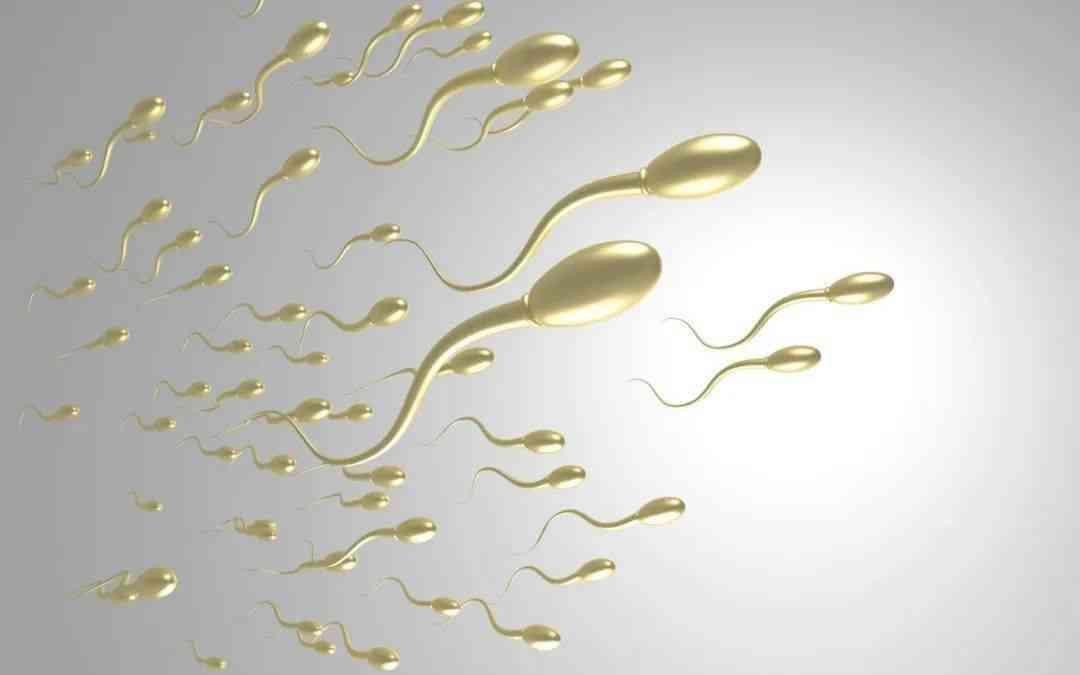 孕妇不可以吃精子