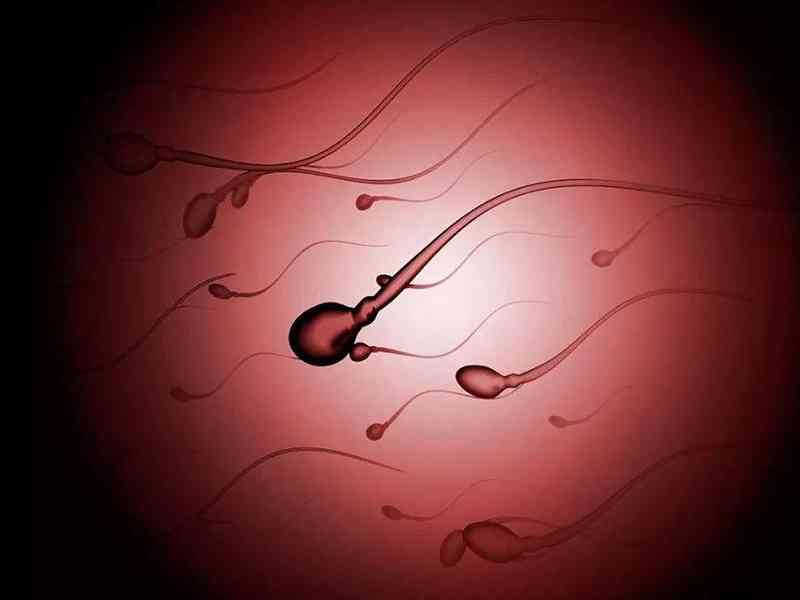 精子活力可以通过医学检查判断
