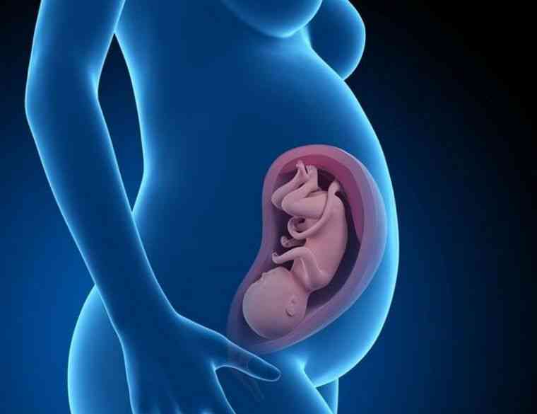 胎儿容易流产