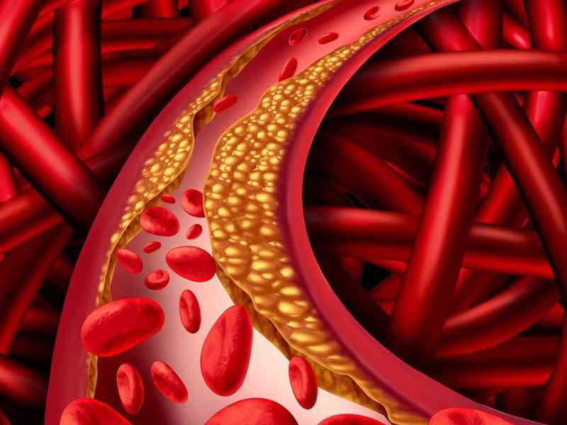 纤维蛋白能促进血小板聚集