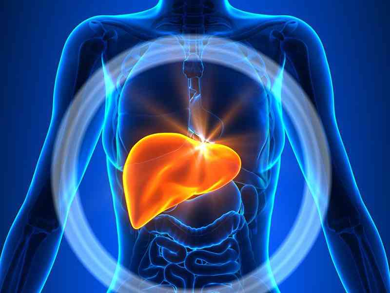 肝脏疾病会导致纤维蛋白偏高