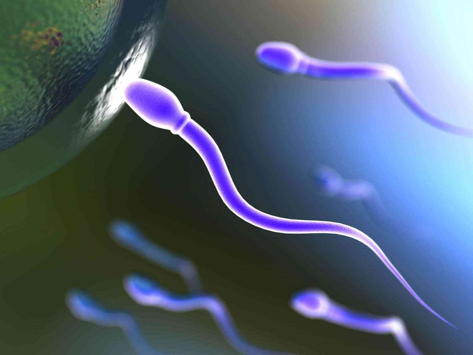 免疫性问题可能导致女性不孕