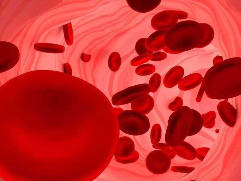 纤维蛋白原会导致血栓形成