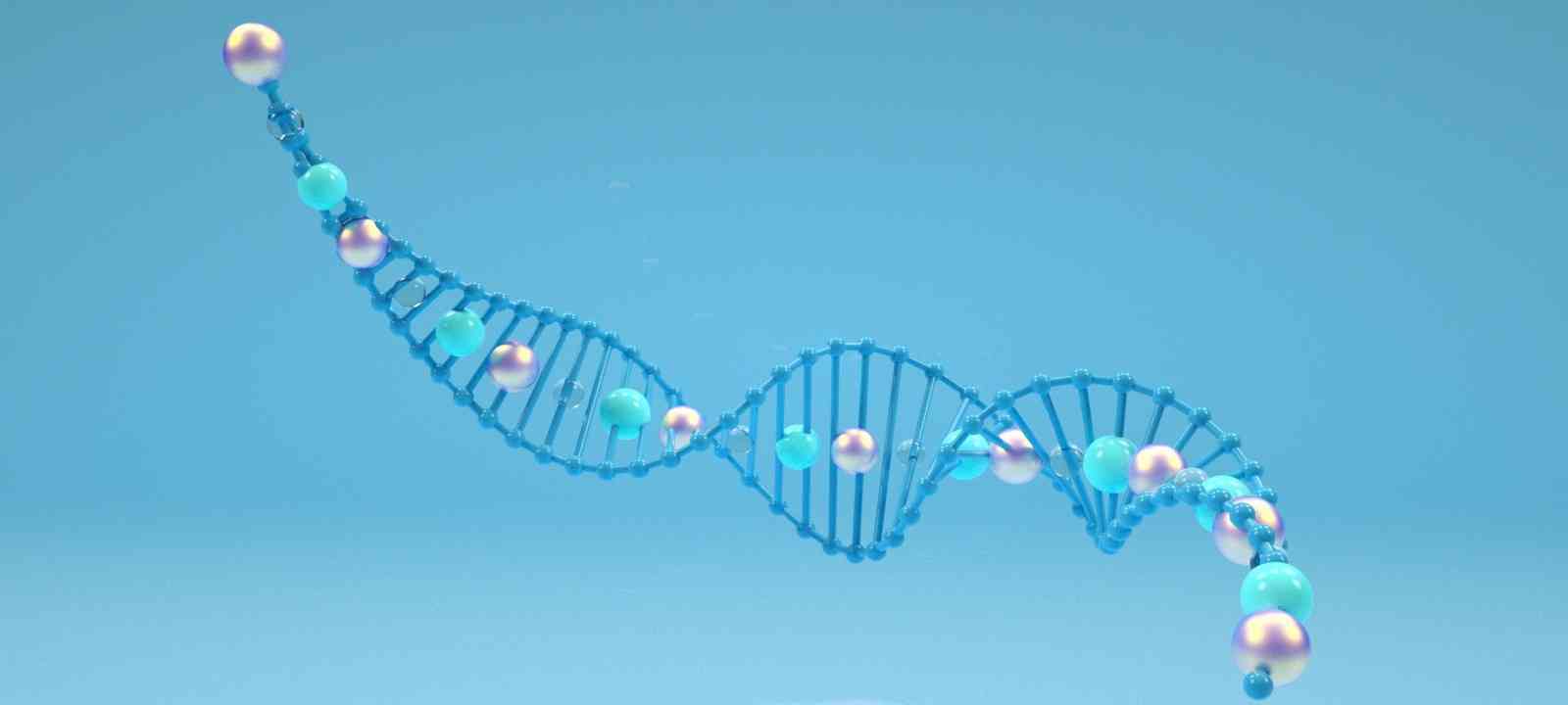 酶免法检测抗双链DNA