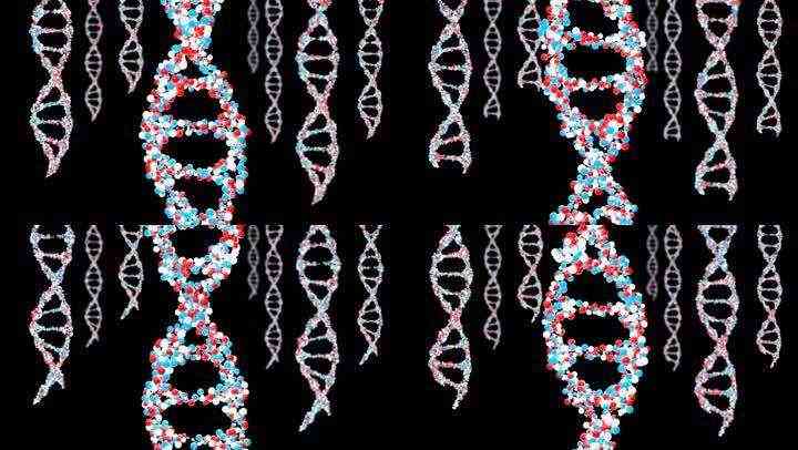 酶免法双链DNA是检查系统红斑狼疮的一种方法