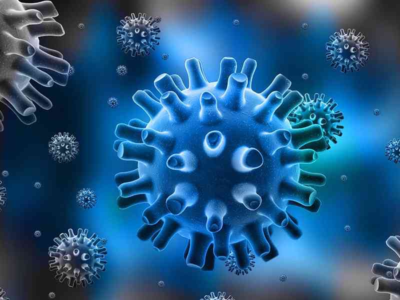 风疹病毒的抗体能不能遗传