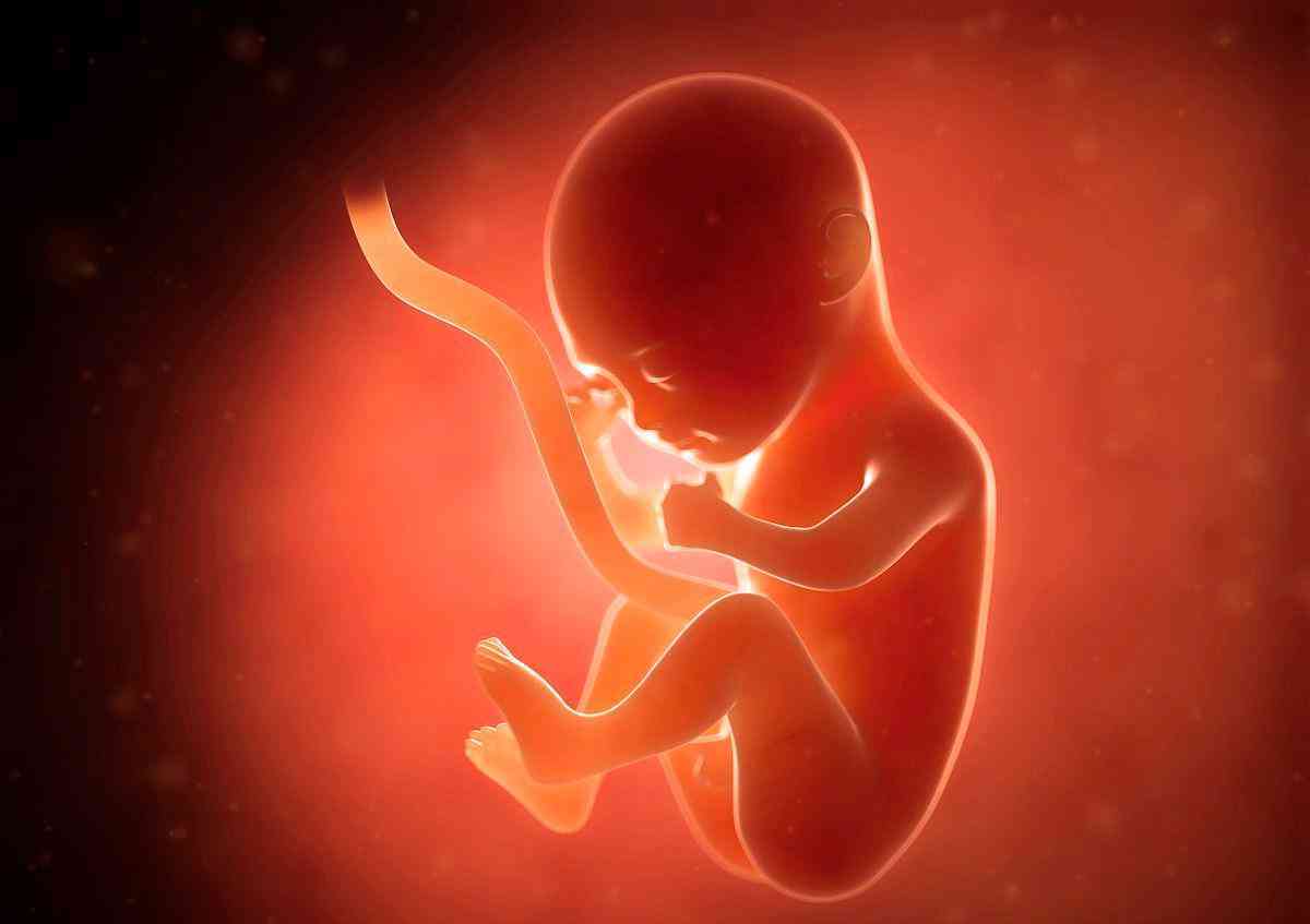 孕妇喝绿豆汤对胎儿有益