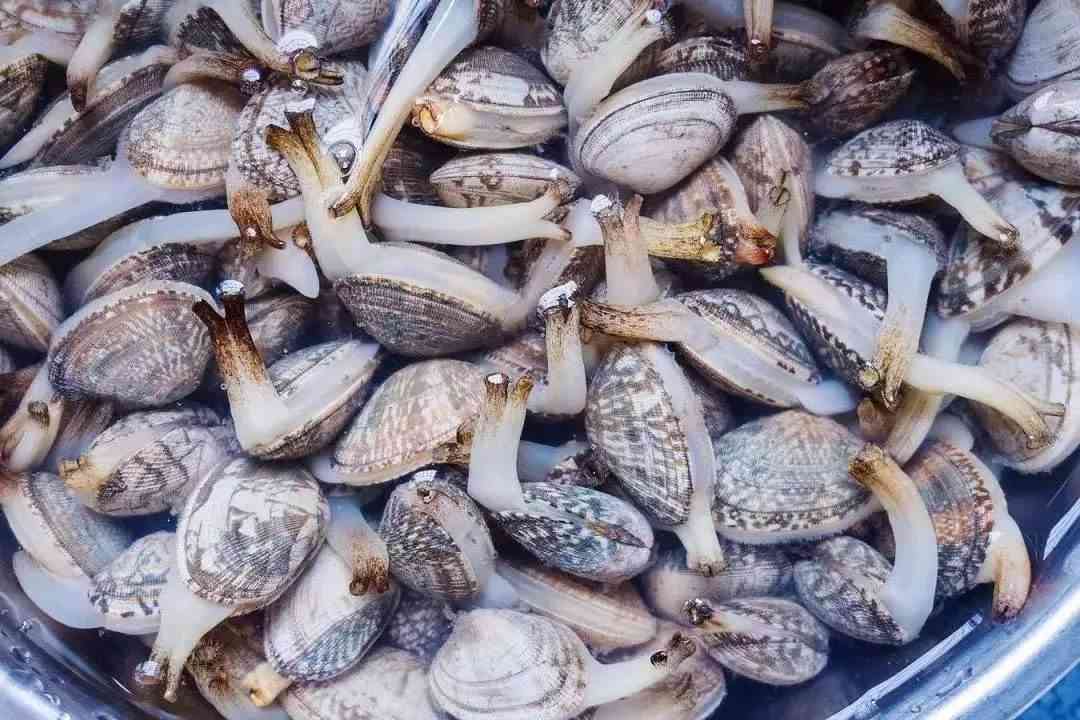 牡蛎和贻贝尤其富含铁