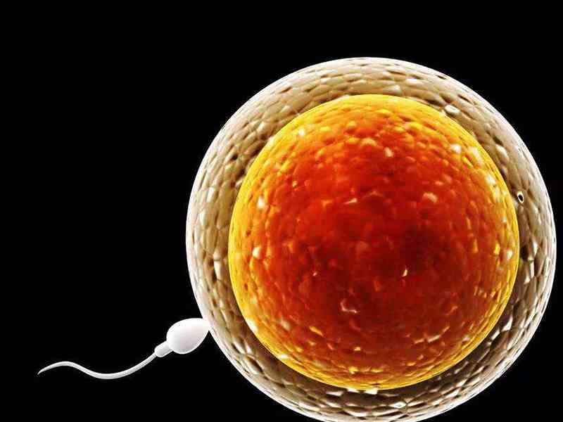 激素出现异常会导致卵子大小出现异常
