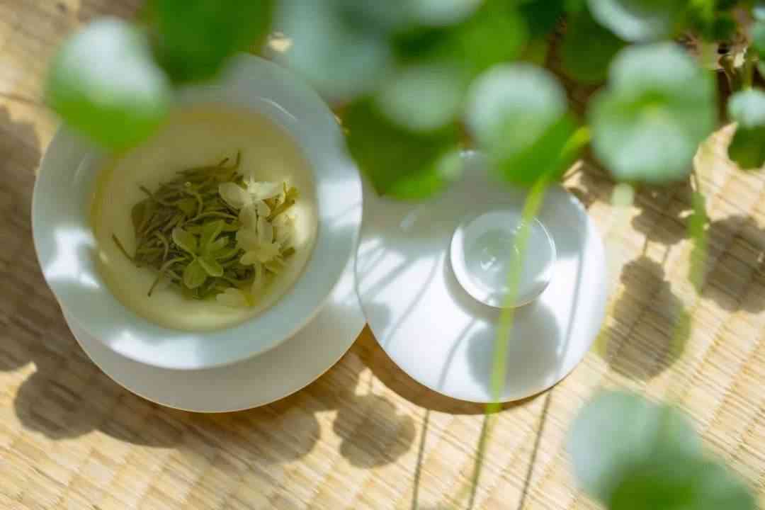 人体吸收茶碱会使人体的温度升高所以不适合喝茉莉花茶