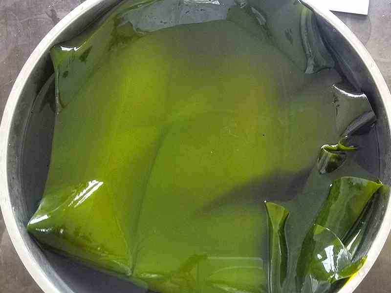 烹调前应清水浸泡海带