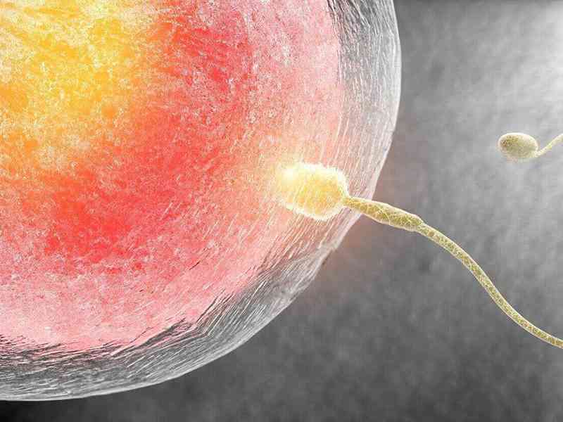 妇科疾病会导致卵泡发育异常