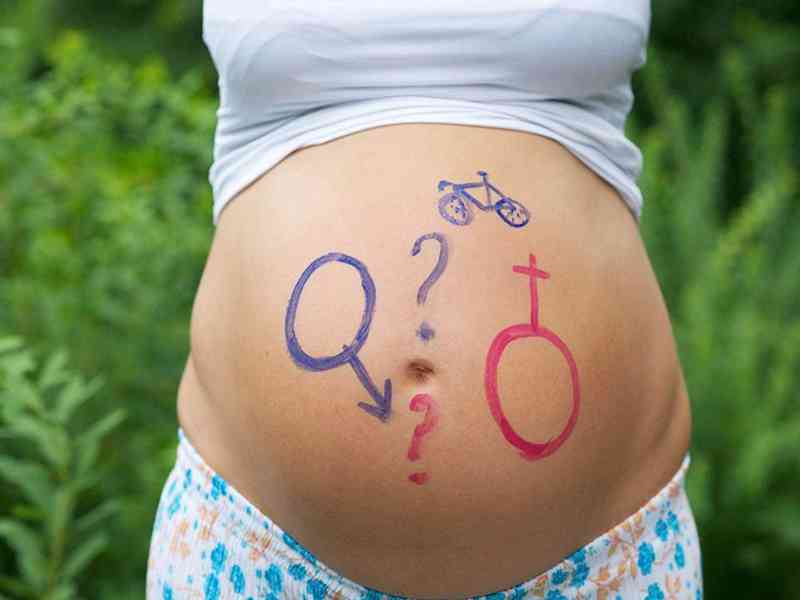 卵泡生长素对怀孕有很大的影响