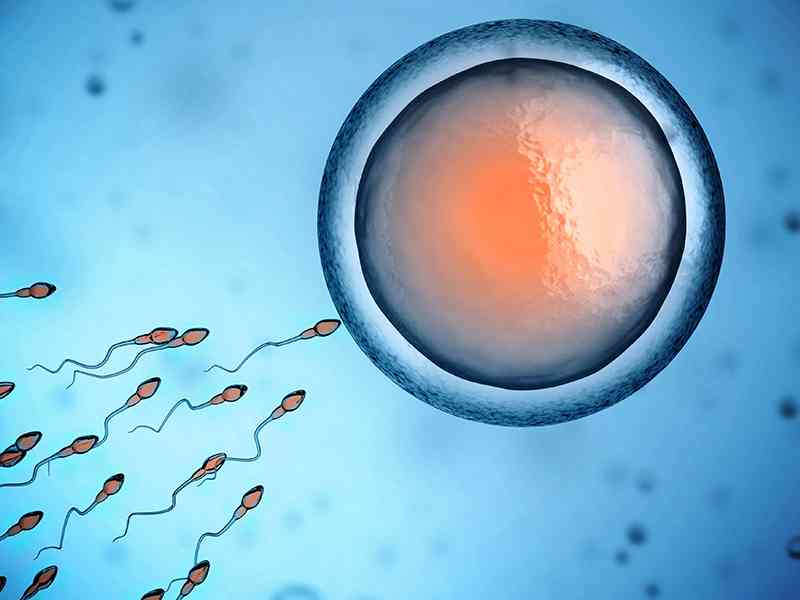 卵泡发育不成熟会导致怀孕几率降低