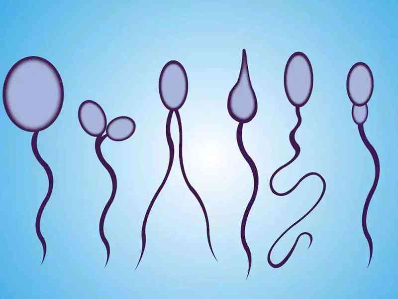 x精子在女性体内存活时间较长