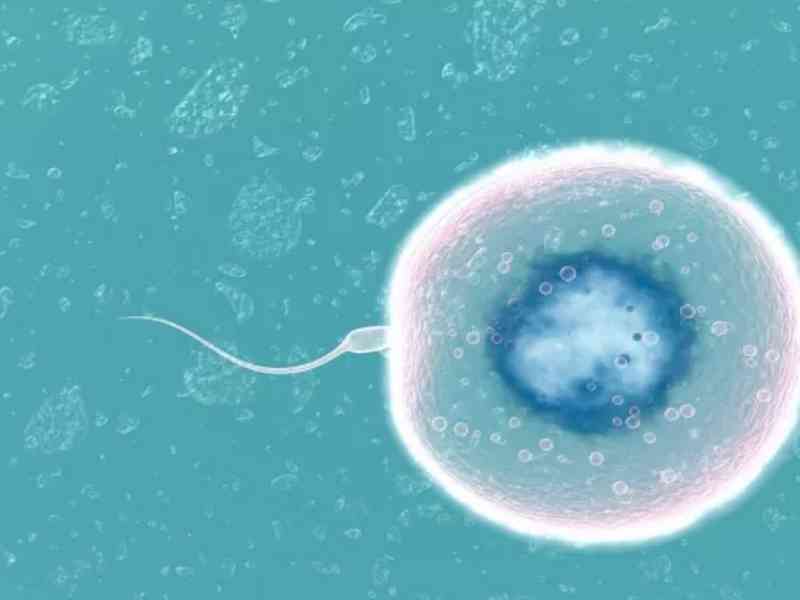 精子在体内的存活时间取决于在什么地方