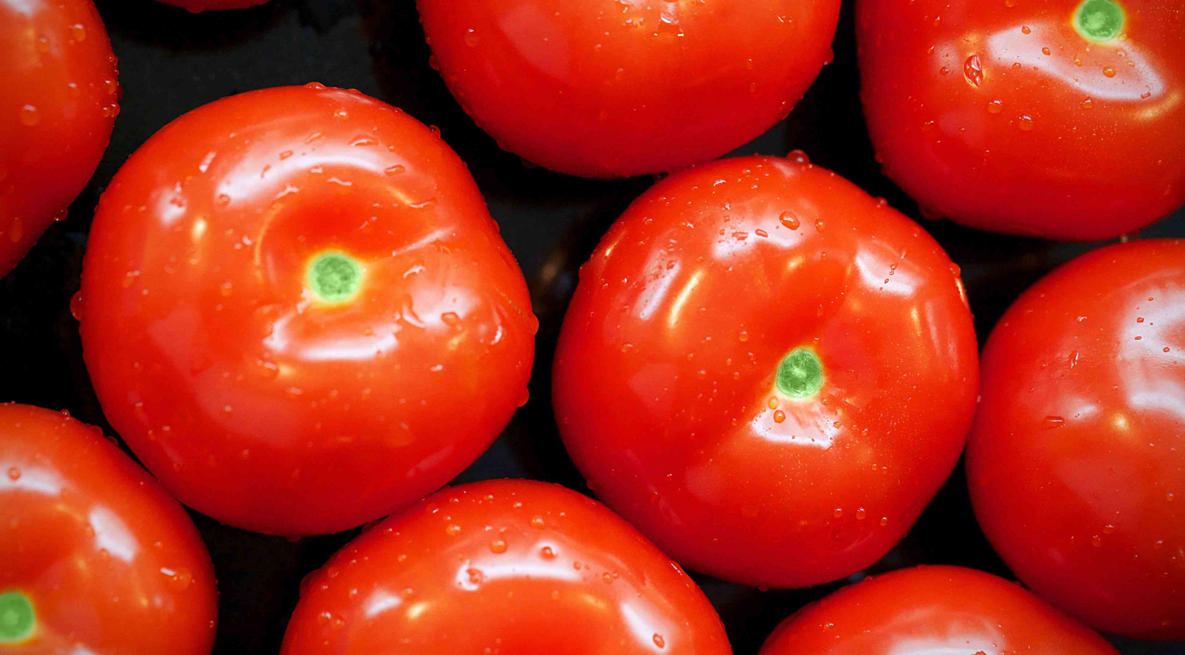 西红柿营养丰富