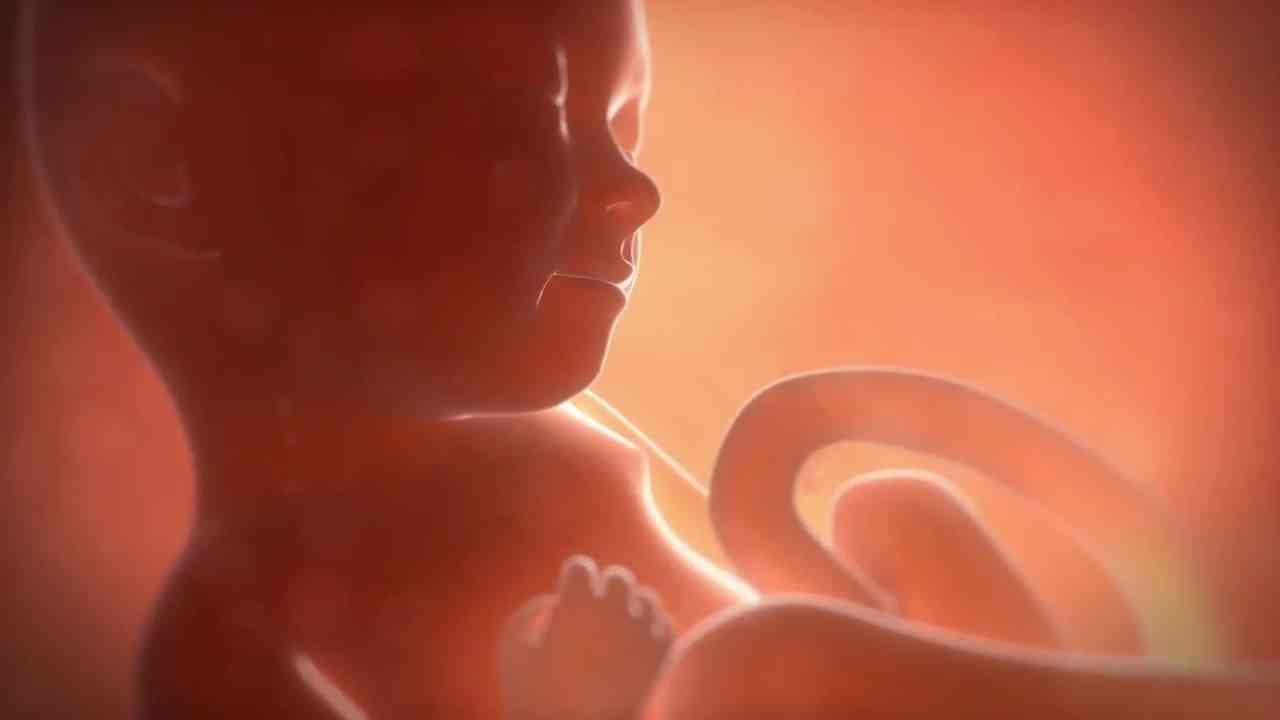 喝豆浆对胎儿的影响