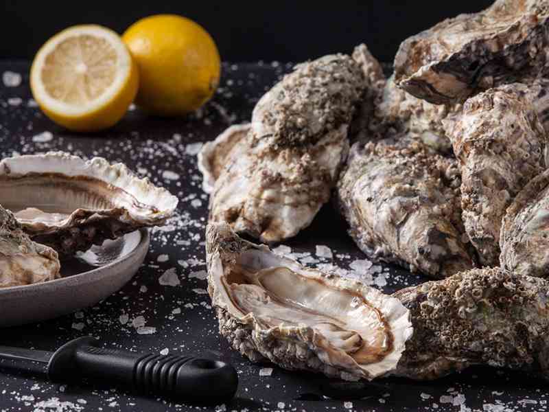 牡蛎可用于提高男性精子质量