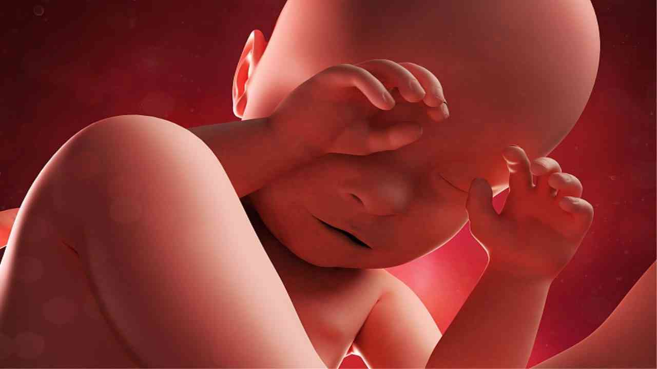 孕妇吃罗汉果对胎儿的影响