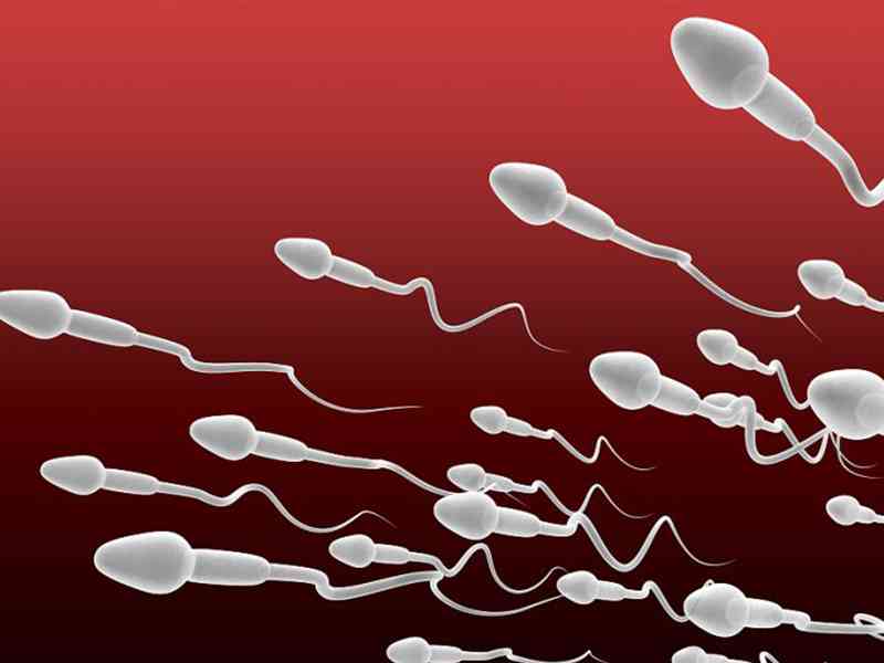 正常男性补满精子需要3~7天
