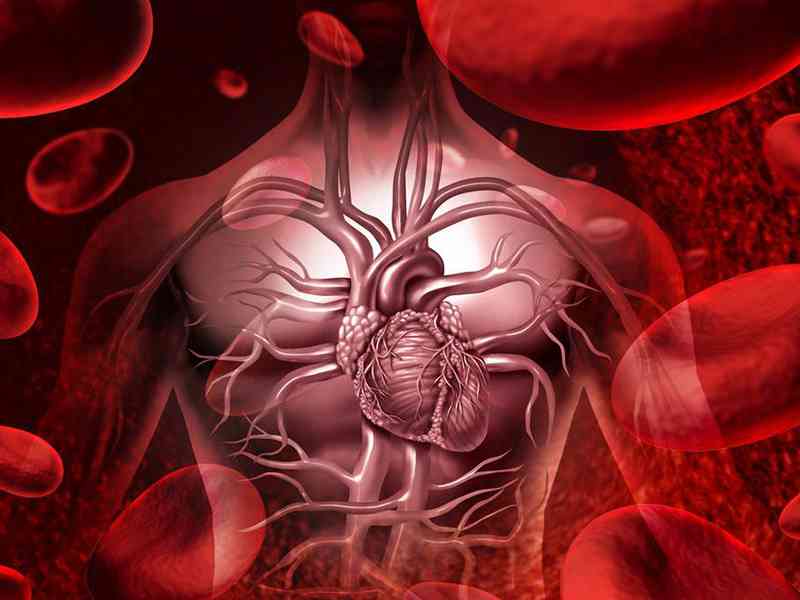 男性睾酮偏低会导致心血管疾病
