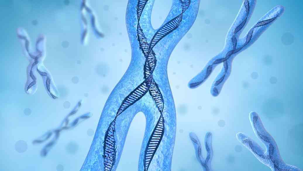 染色体是遗传物质的载体