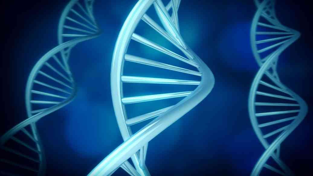 无创DNA检查大致可分为普通版和升级版