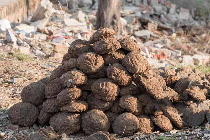 梦见成堆的粪便大粪，解读梦境背后的深层含义