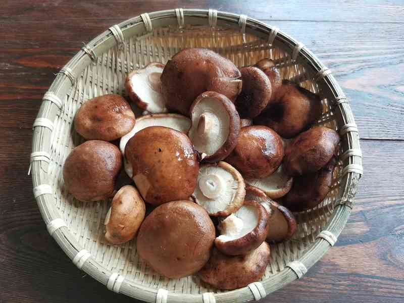香菇中含有丰富的维生素B2