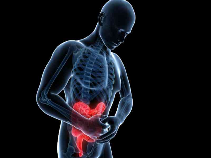 维生素B1能促进肠胃消化