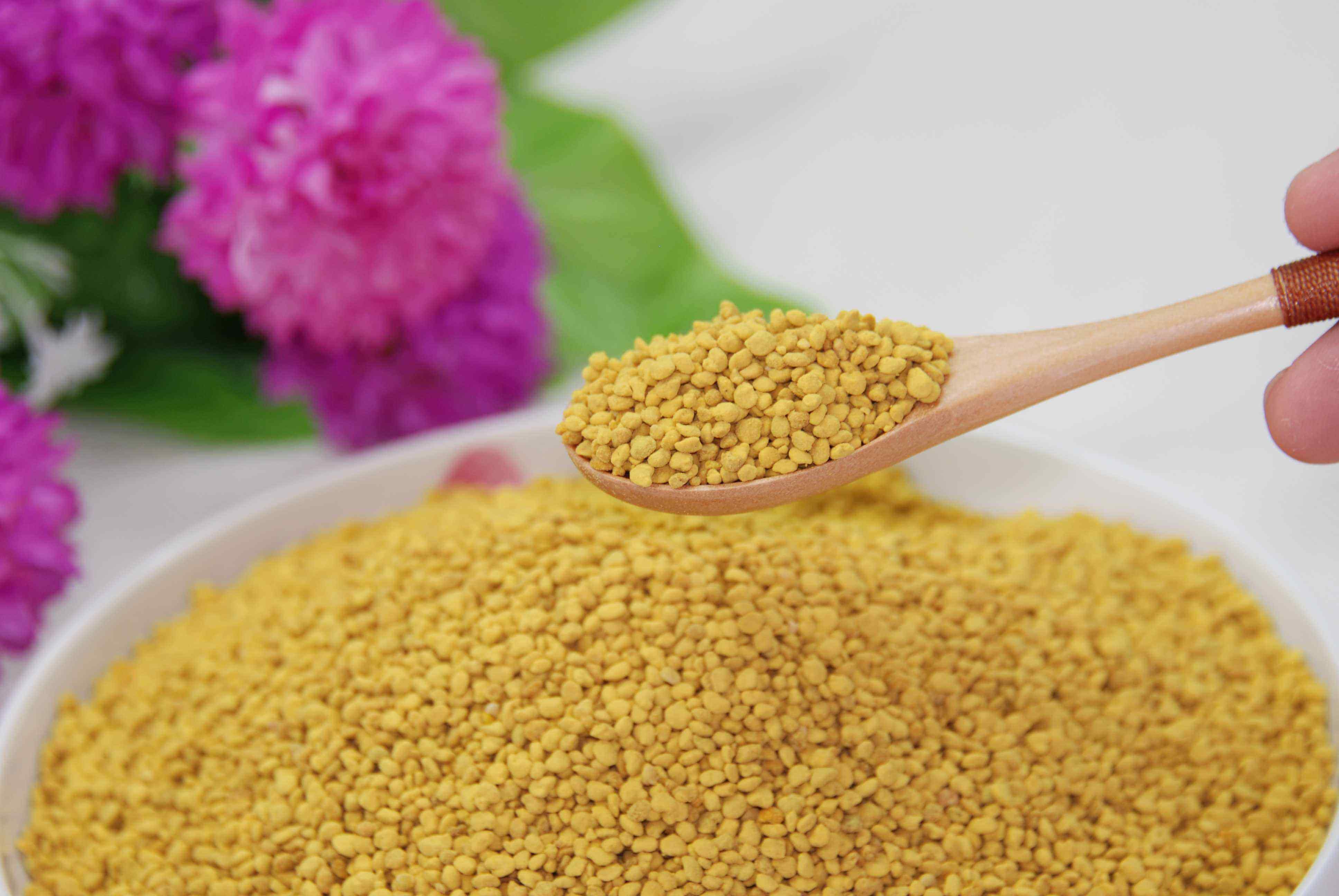 油菜花粉有多种营养元素