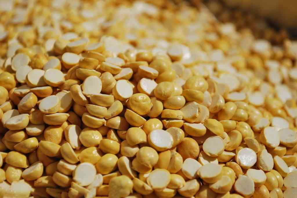 鹰嘴豆可以控制激素活性