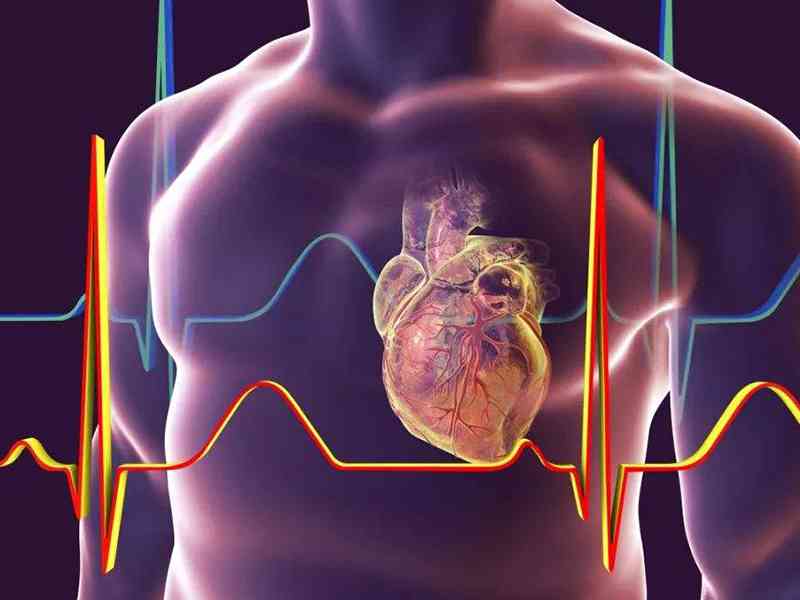 维生素D能保护心脏健康