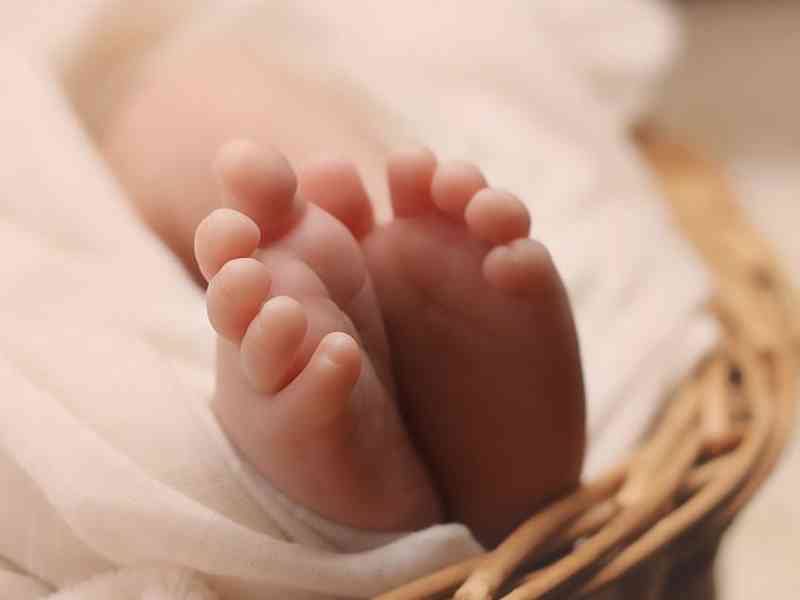 早产儿大量使用维生素K可能会导致贫血