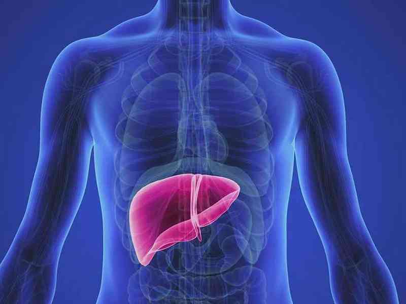 维生素K会对肝脏造成影响