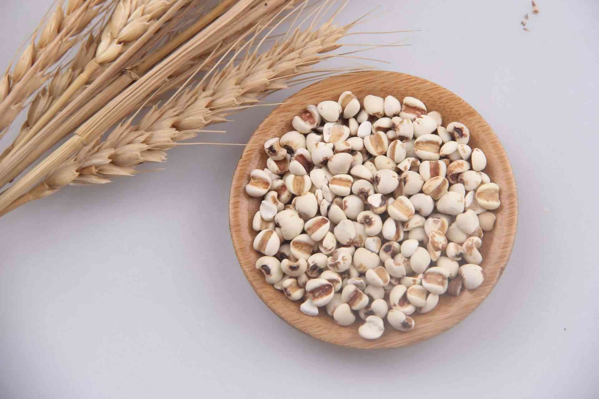 食用薏米可以促进新陈代谢