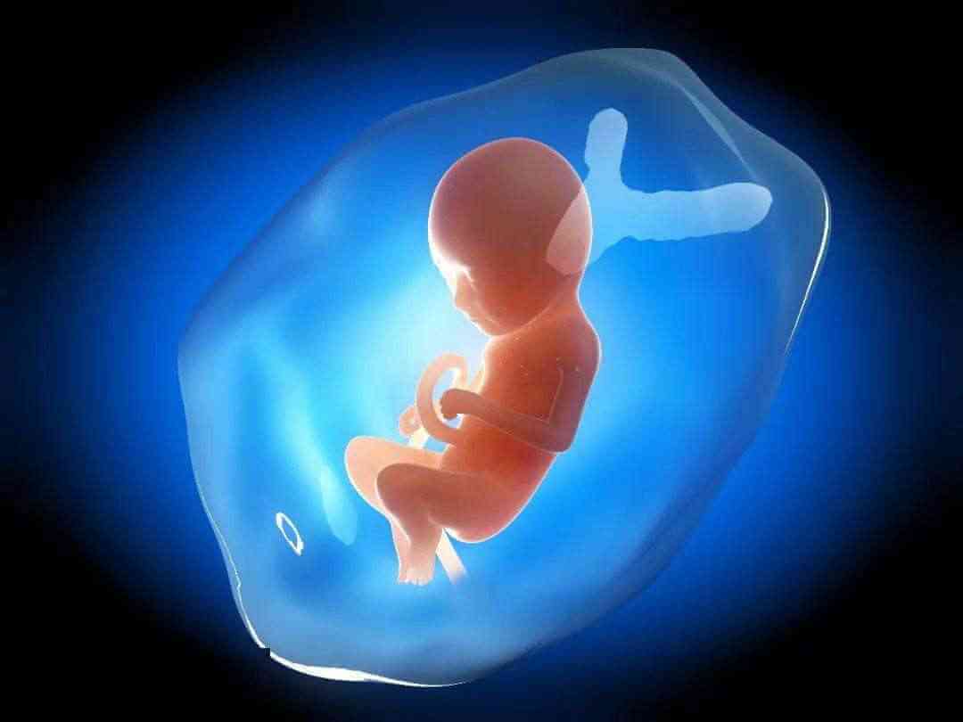 这些症状可能是胎儿停止发育的征兆，无数孕妈还蒙在鼓里！