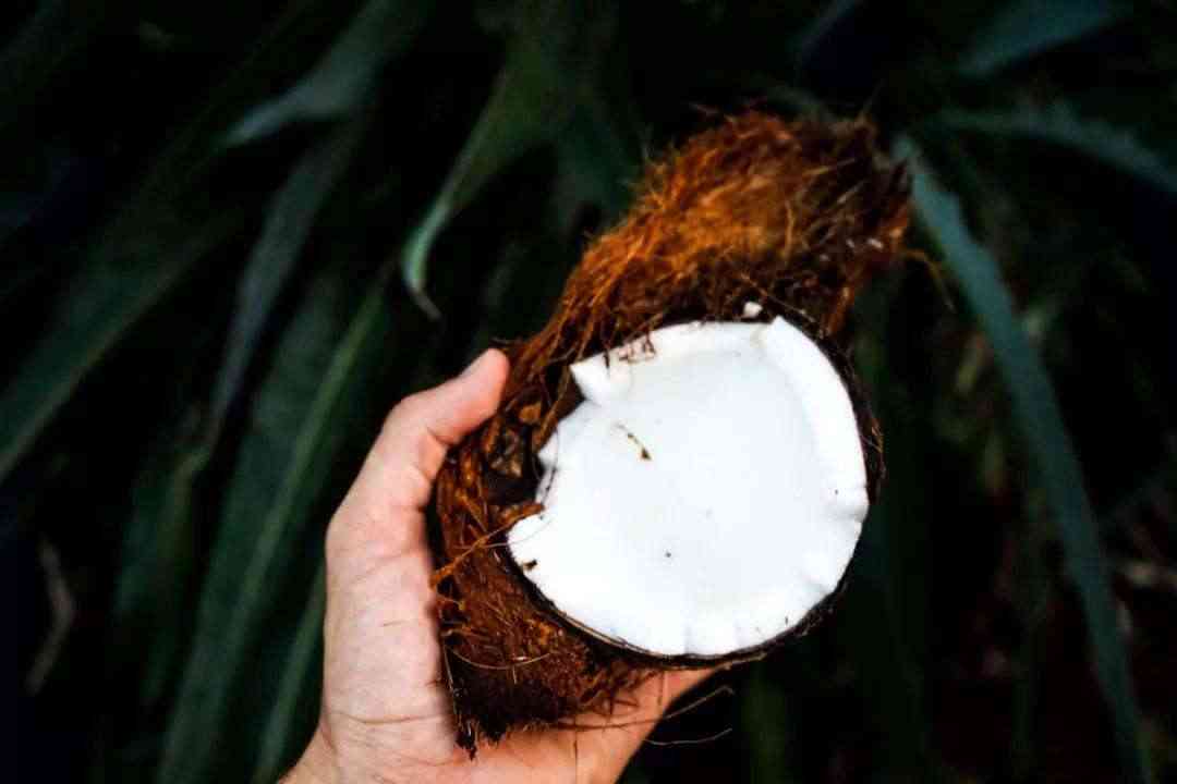 食用椰子油的禁忌