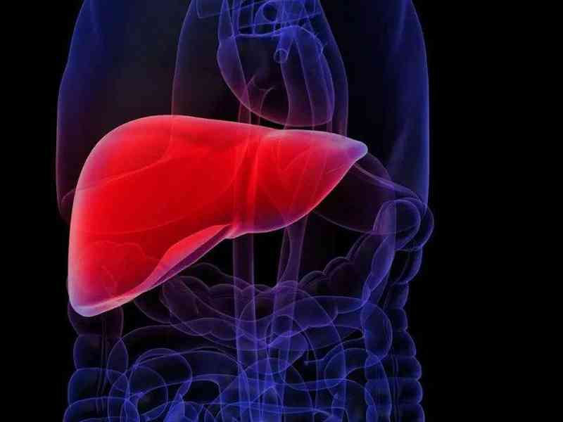 血清甘油三酯长期偏低可能出现肝脏疾病