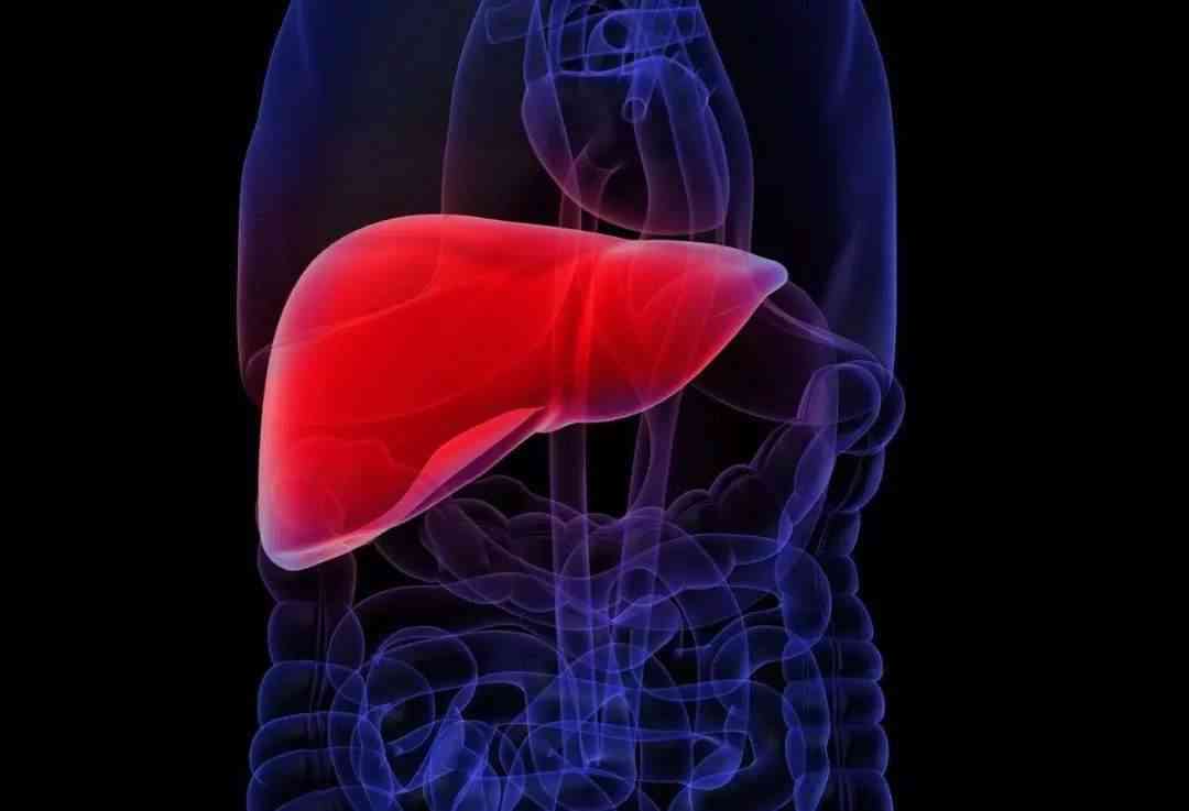 肝脏疾病会导致血清甘油三酯偏高